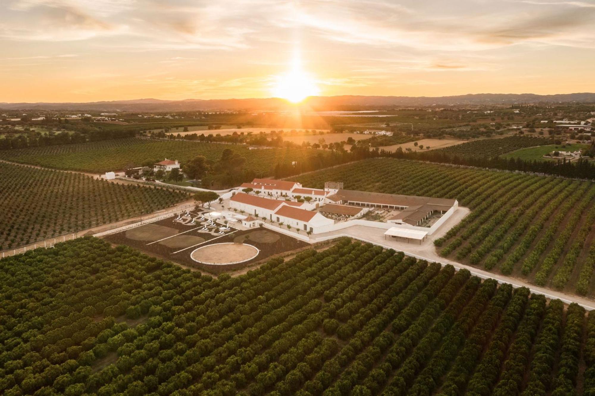 Casas Da Quinta De Cima Villa Vila Nova de Cacela Eksteriør billede