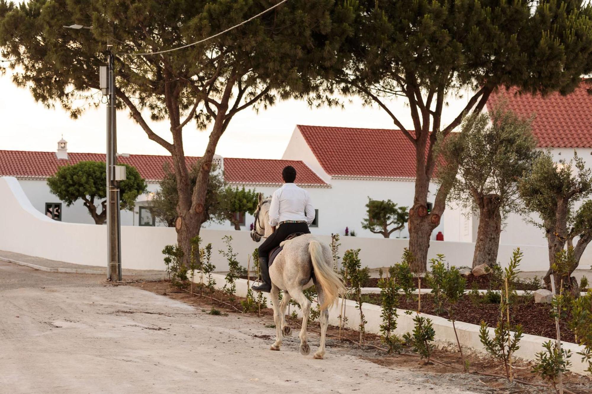 Casas Da Quinta De Cima Villa Vila Nova de Cacela Eksteriør billede