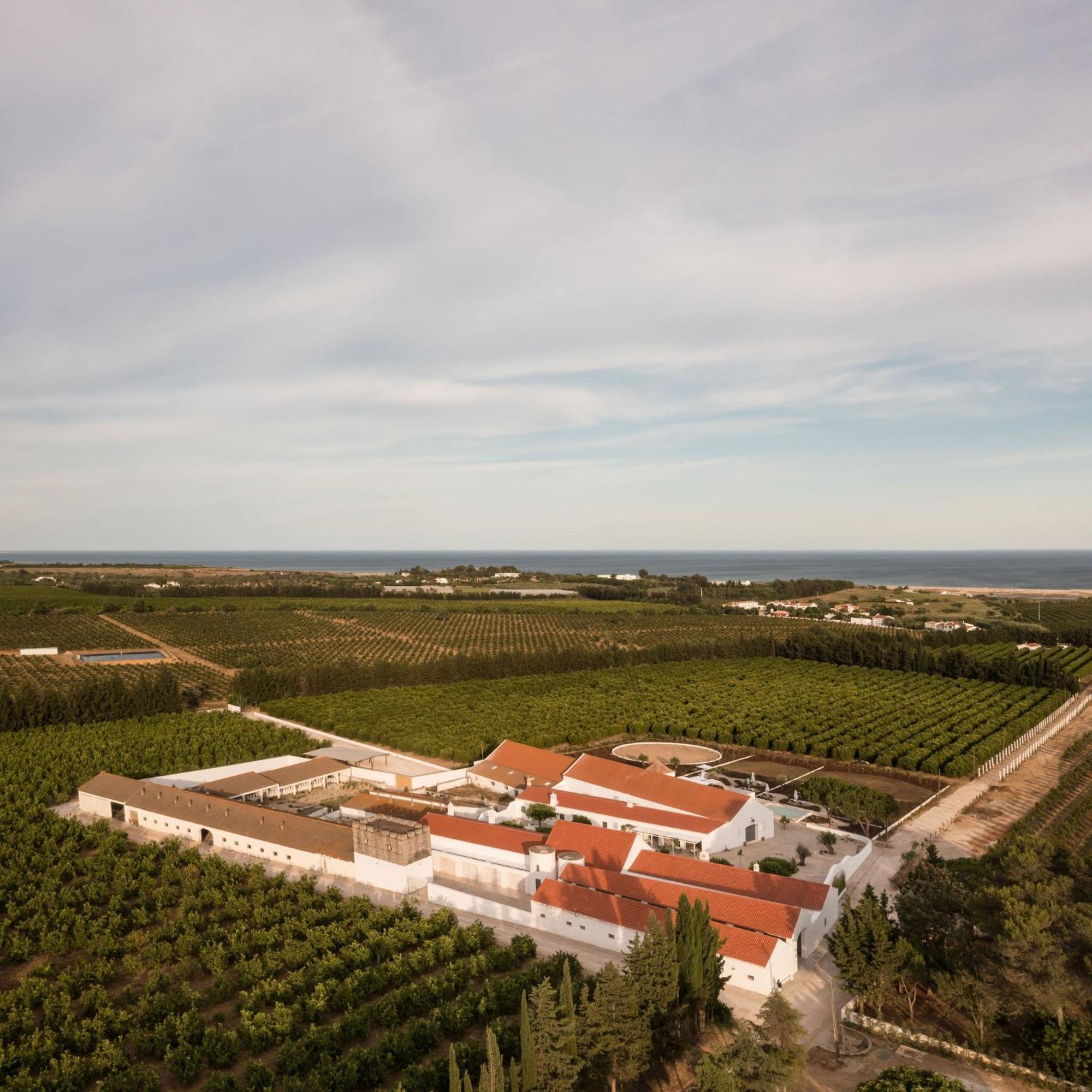 Casas Da Quinta De Cima Villa Vila Nova de Cacela Eksteriør billede