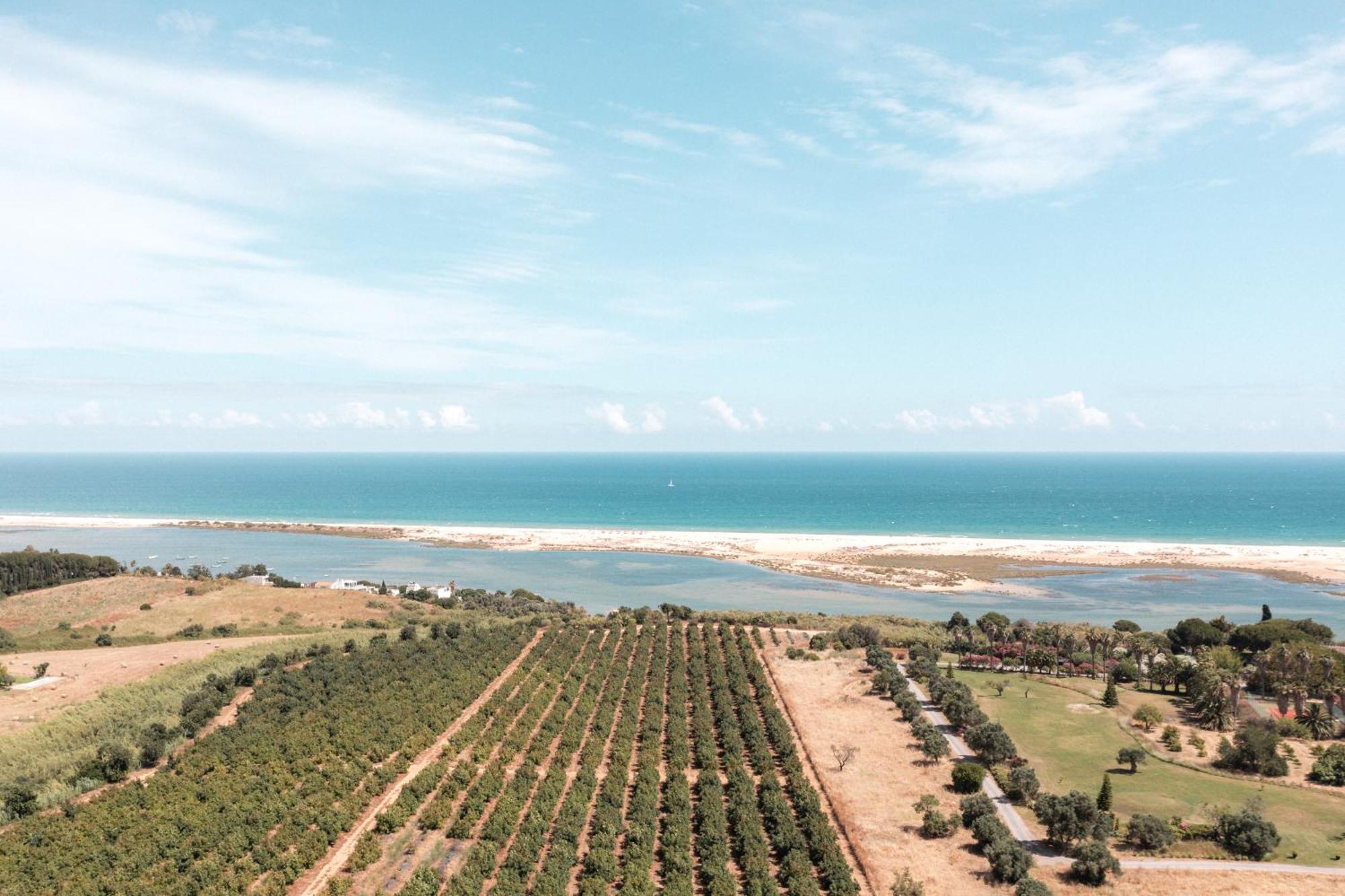 Casas Da Quinta De Cima Villa Vila Nova de Cacela Eksteriør billede